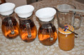 /album/kralovna-jesene-sipka/dsc-1748-jpg2/