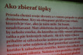 /album/kralovna-jesene-sipka/dsc-1758-jpg2/