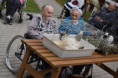/album/dvor-na-sarisi/dsc-1103-jpg3/