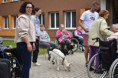 /album/dvor-na-sarisi/dsc-1112-jpg6/
