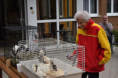 /album/dvor-na-sarisi/dsc-1185-jpg3/