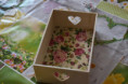 /album/letne-aktivity/dsc-1457-jpg5/