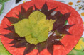 /album/jesenne-tvorenie-v-lipovom-dome/dsc-0350-jpg6/